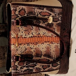 Brahmain Handbag